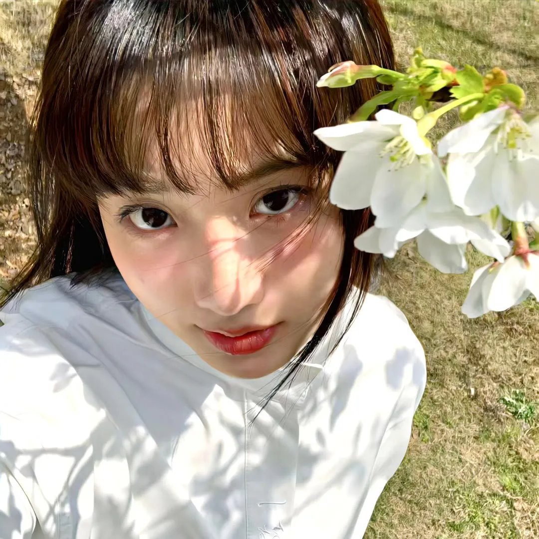 巴里公主2024